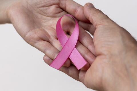 UN ANTICORPS CONTRE LE CANCER DU SEIN